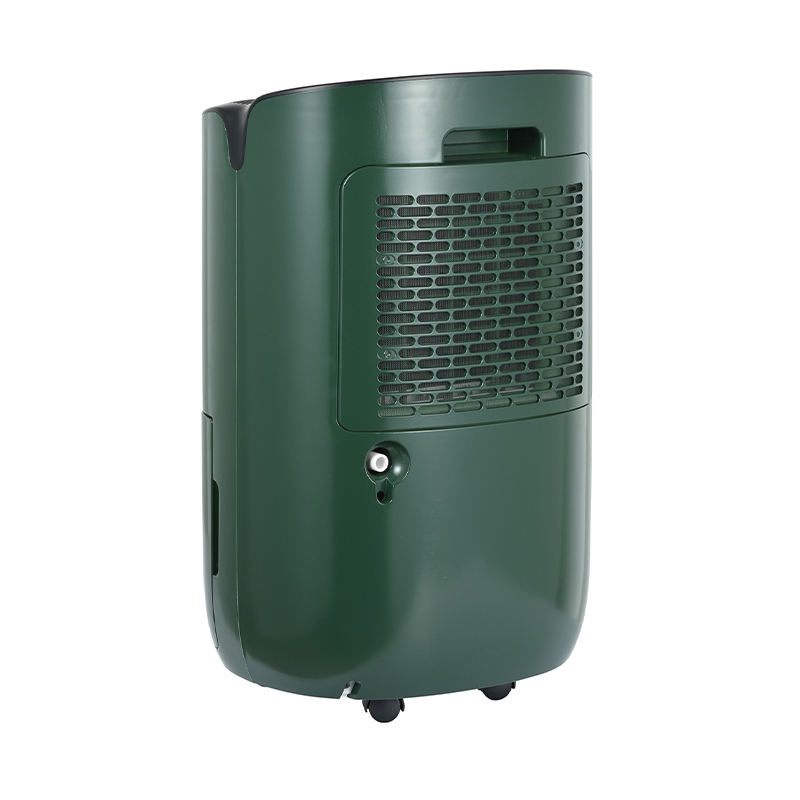 ZY12-BD01A Dehumidifier