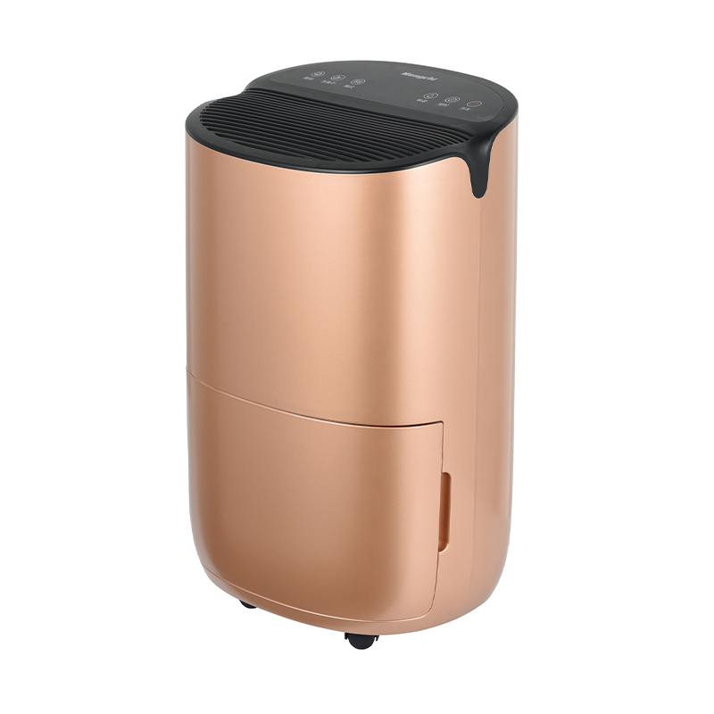 ZY16-BD01A Dehumidifier