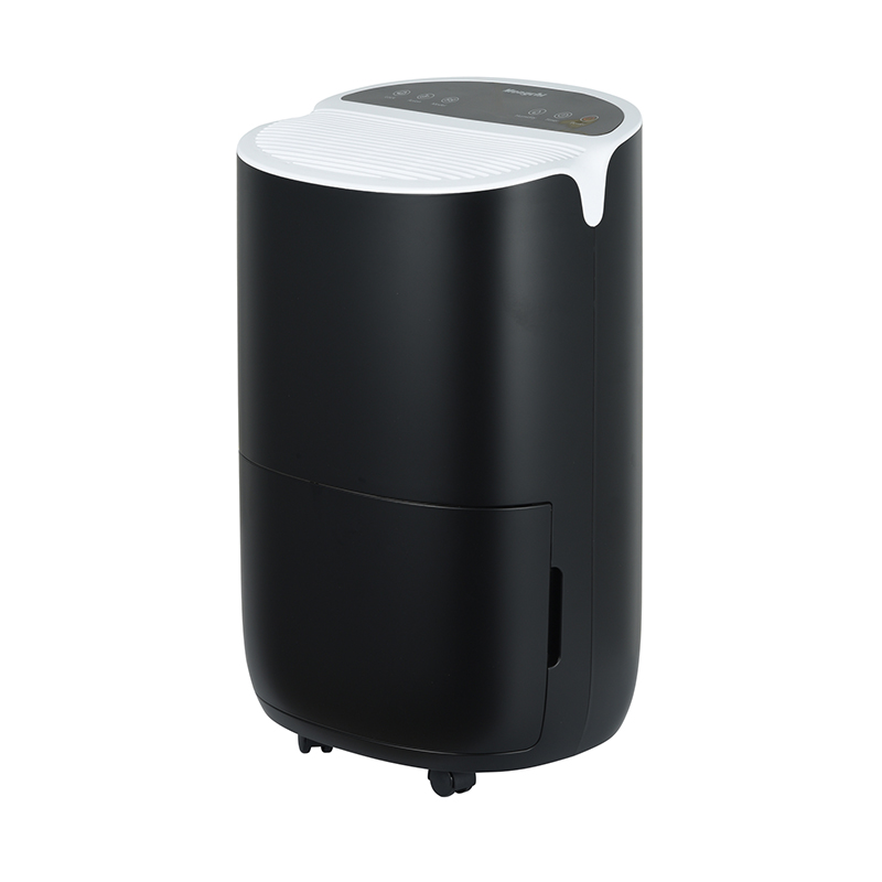 ZY12-BD01A Dehumidifier