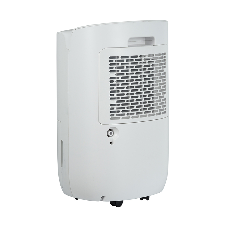 ZY10-BD01A Dehumidifier