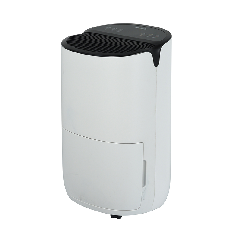 ZY09P-BD01A Dehumidifier