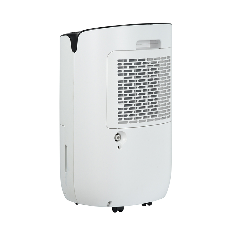 ZY09P-BD01A Dehumidifier